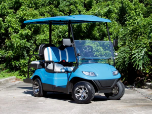 golf cart storage, palm beach golf cart service, cart maintenance