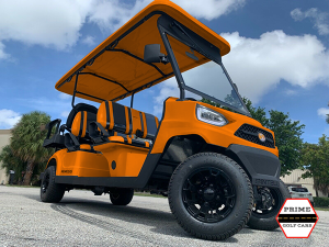 golf cart storage, palm beach golf cart service, cart maintenance